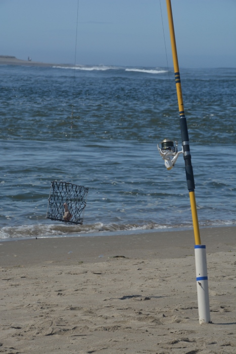 crabber on shore with rod and reel